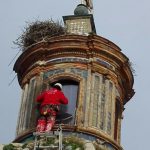 trabajos de altura monumentos sevilla grupo acron